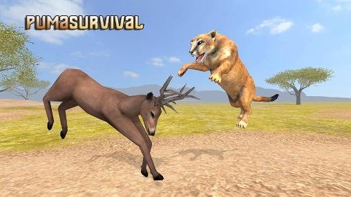 download Puma survival: Simulator apk